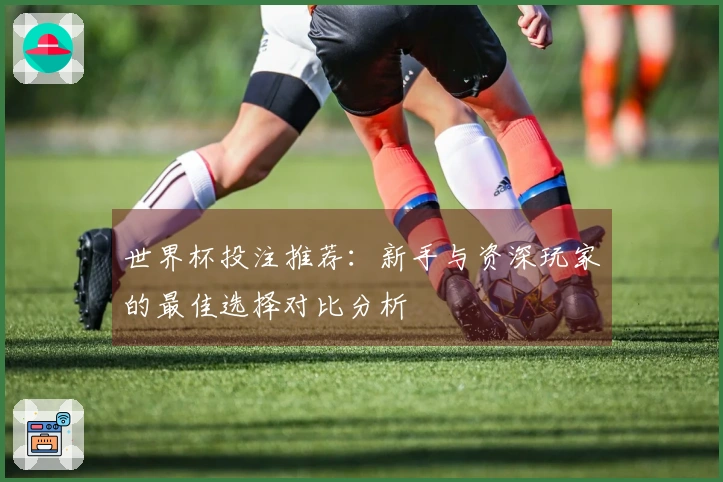 世界杯投注推荐：新手与资深玩家的最佳选择对比分析