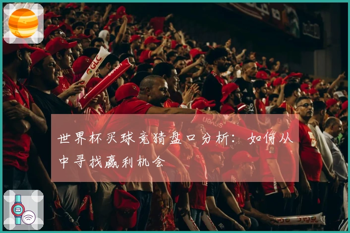 世界杯买球竞猜盘口分析：如何从中寻找赢利机会