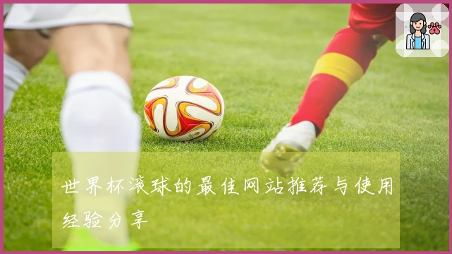 世界杯滚球的最佳网站推荐与使用经验分享