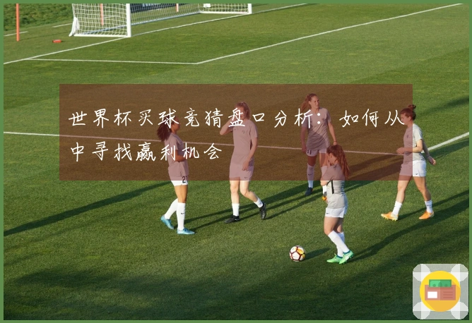 世界杯买球竞猜盘口分析：如何从中寻找赢利机会