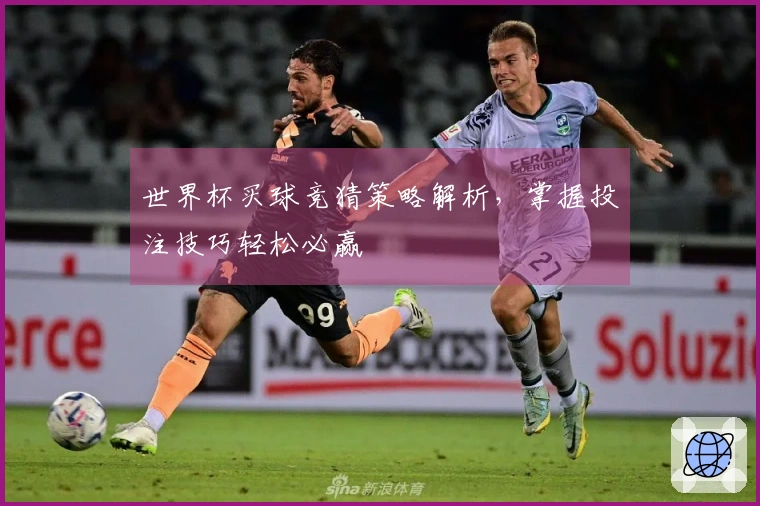 世界杯买球竞猜策略解析，掌握投注技巧轻松必赢
