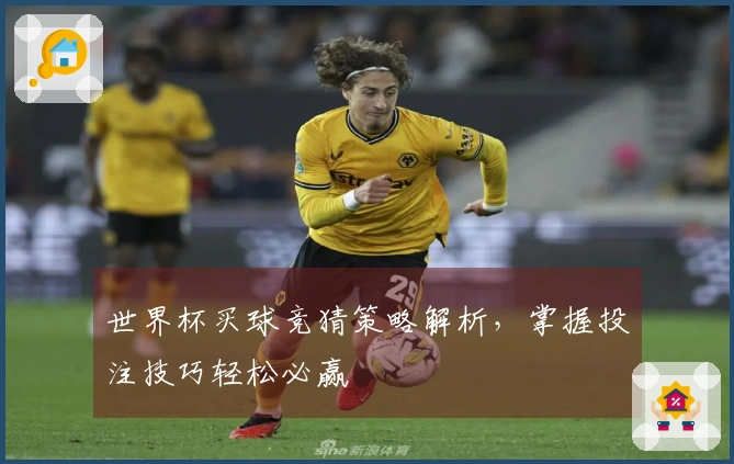 世界杯买球竞猜策略解析，掌握投注技巧轻松必赢