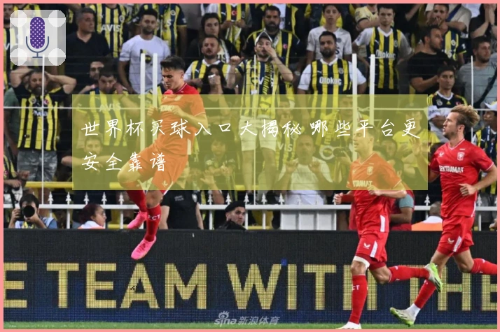 世界杯买球入口大揭秘 哪些平台更安全靠谱